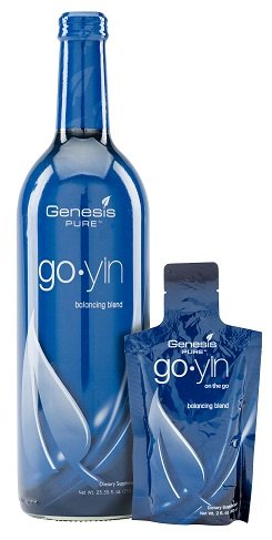 GoYin 