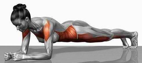 Pilates -Plank Exercise - Hold position for 30 seconds to 1 minute or longer.