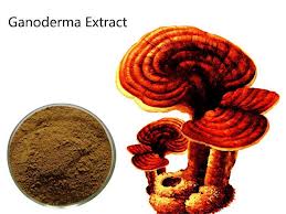Health benefits of ganoderma extract